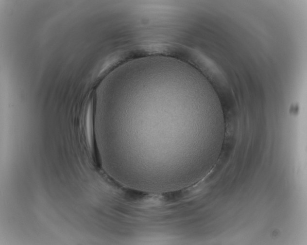 X0000091930124200709121606