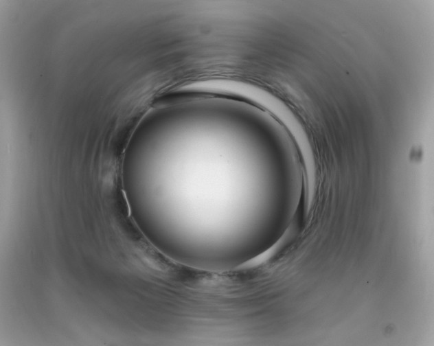 X0000091930125200709121606
