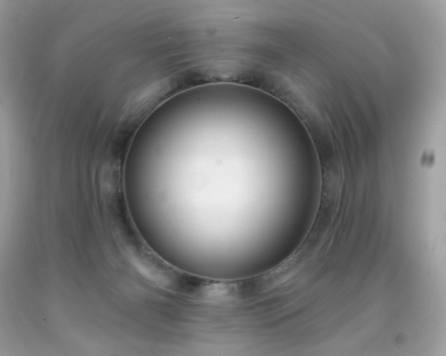 X0000091930126200709121606