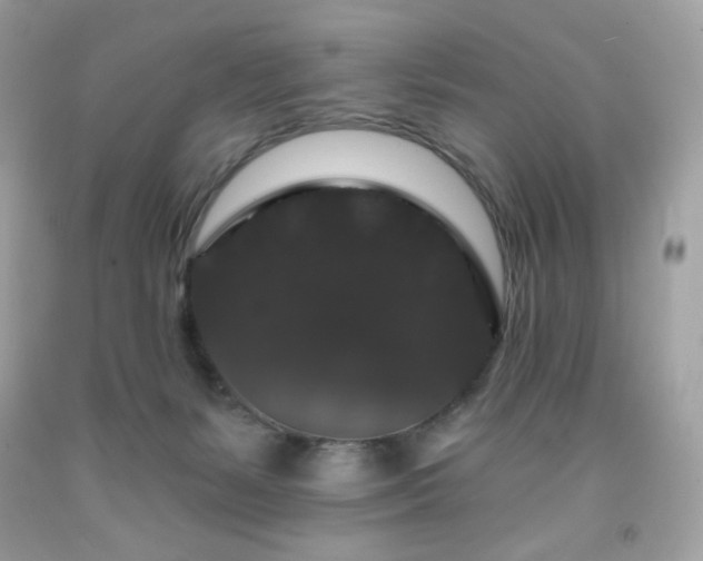 X0000091930127200709121606