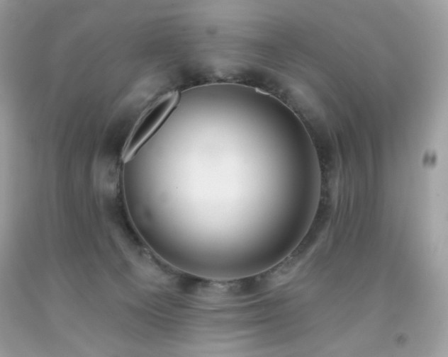 X0000091930129200709121606