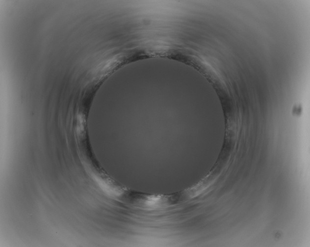 X0000091930130200709121606