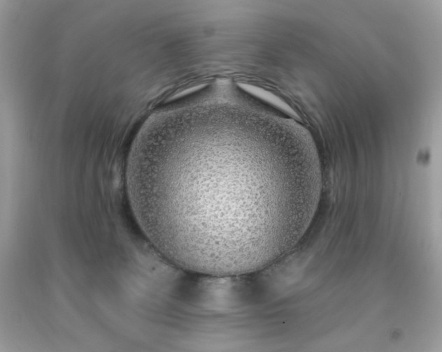 X0000091930131200709121606