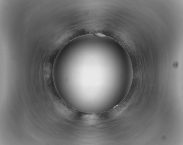 X0000091930133200709121606