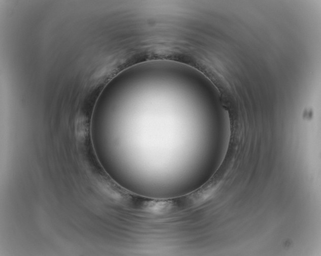 X0000091930135200709121606