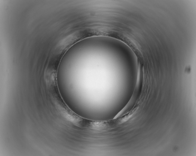 X0000091930141200709121606