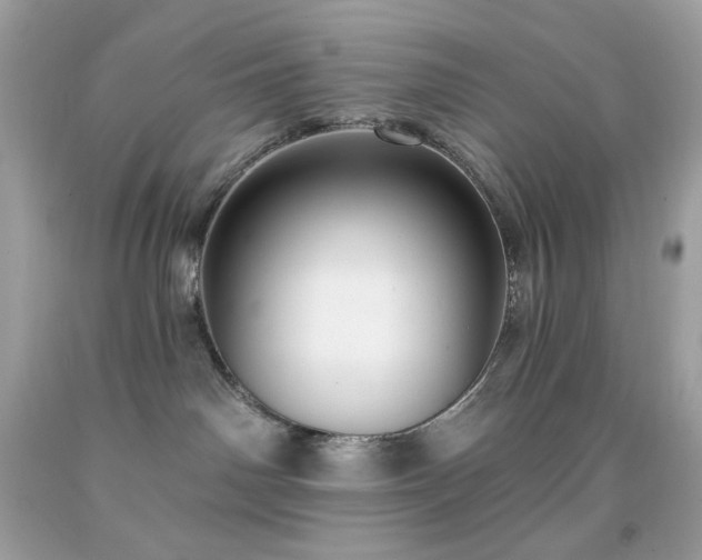 X0000091930142200709121606