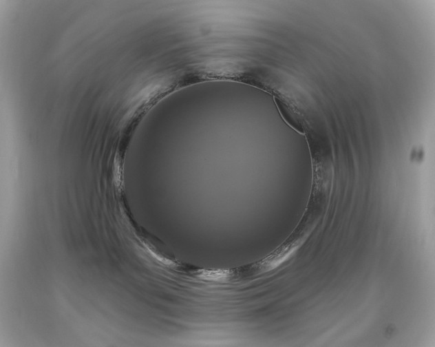 X0000091930143200709121606