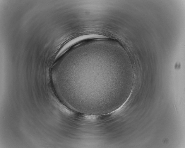 X0000091930144200709121606
