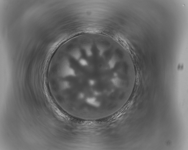 X0000091930145200709121605
