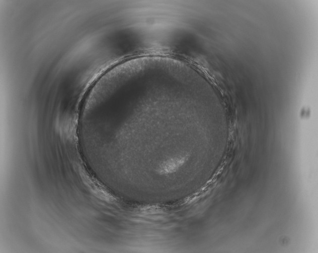 X0000091930146200709121605