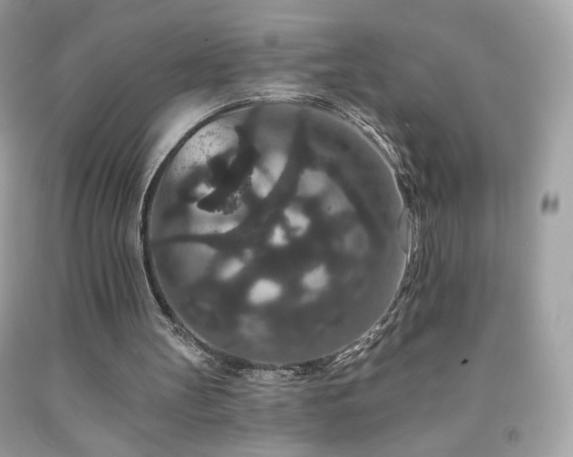 X0000091930147200709121605