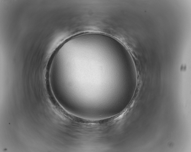 X0000091930151200709121605