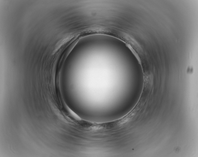 X0000091930158200709121606