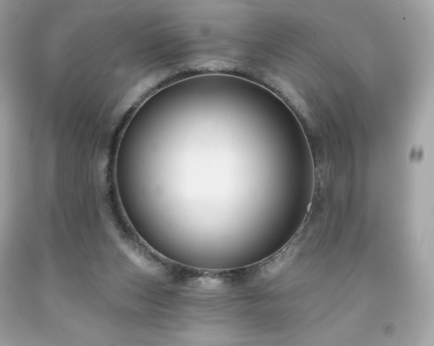 X0000091930159200709121606