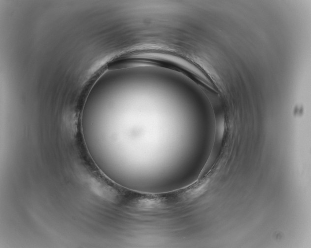 X0000091930160200709121606