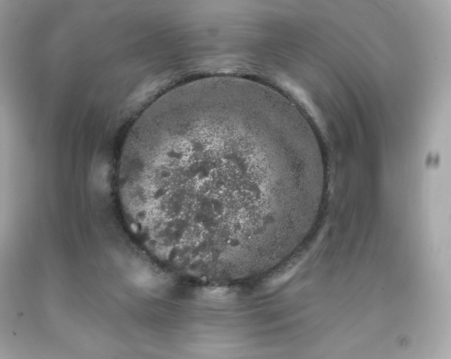 X0000091930161200709121606