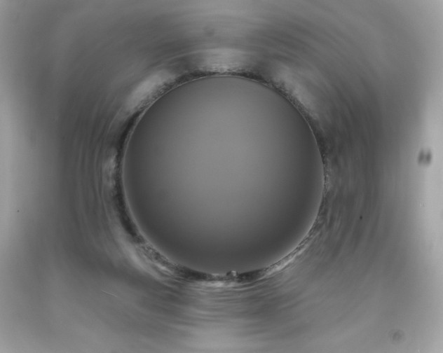 X0000091930163200709121606