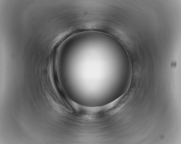 X0000091930164200709121606