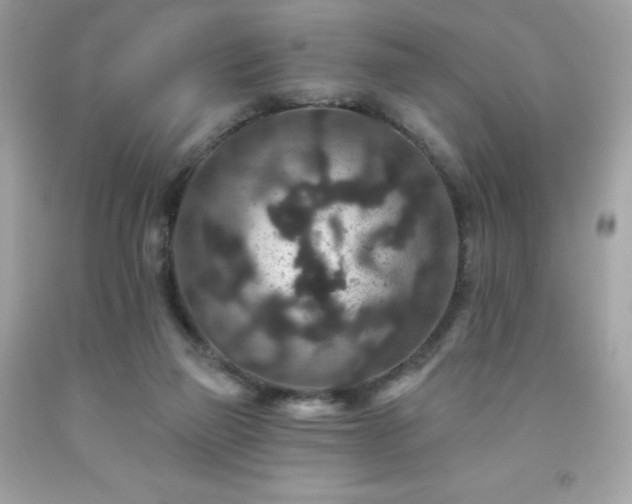 X0000091930165200709121606