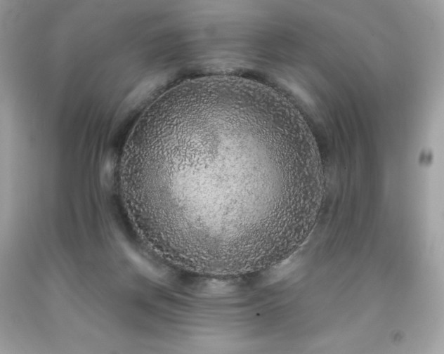 X0000091930166200709121606