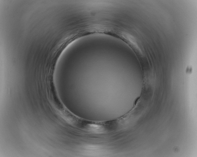 X0000091930167200709121606