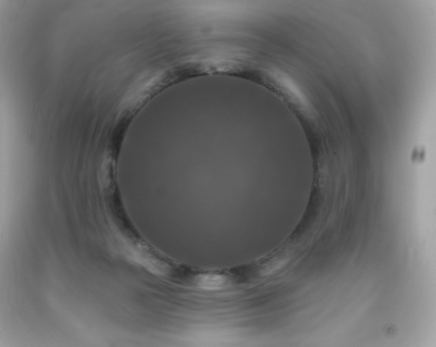 X0000091930169200709121606