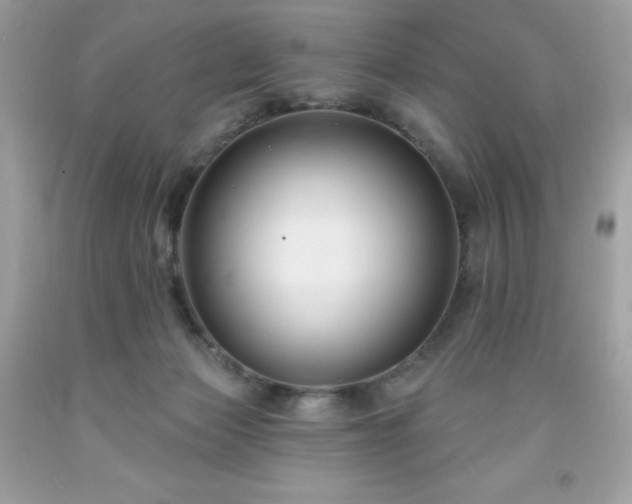 X0000091930173200709121606