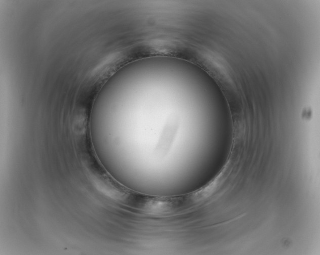 X0000091930174200709121606