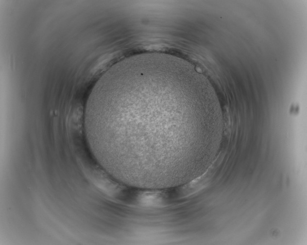 X0000091930175200709121606