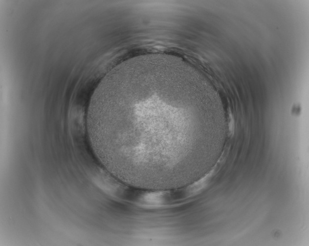 X0000091930178200709121606