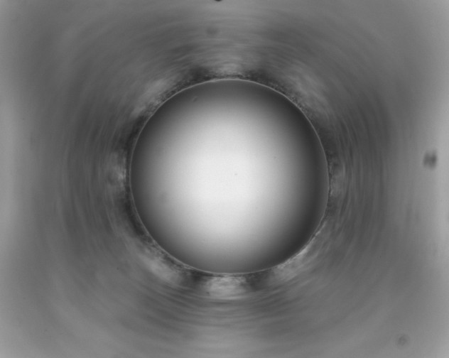 X0000091930179200709121606