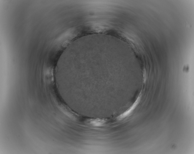 X0000091930182200709121606