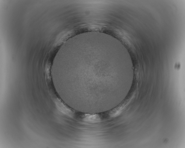 X0000091930185200709121606