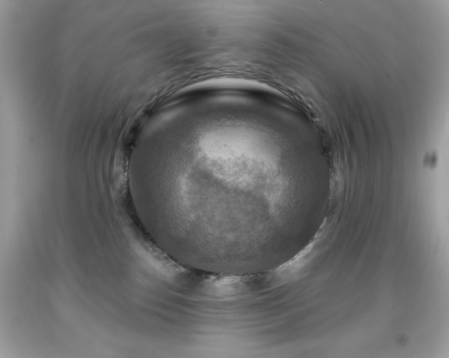 X0000091930186200709121606