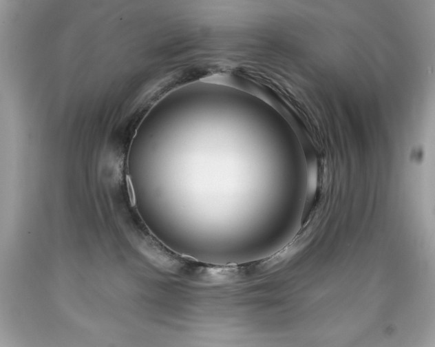 X0000091930188200709121606