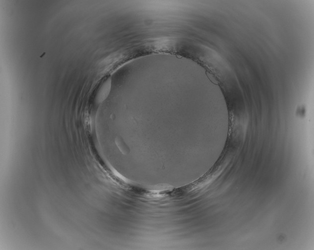 X0000091930189200709121606