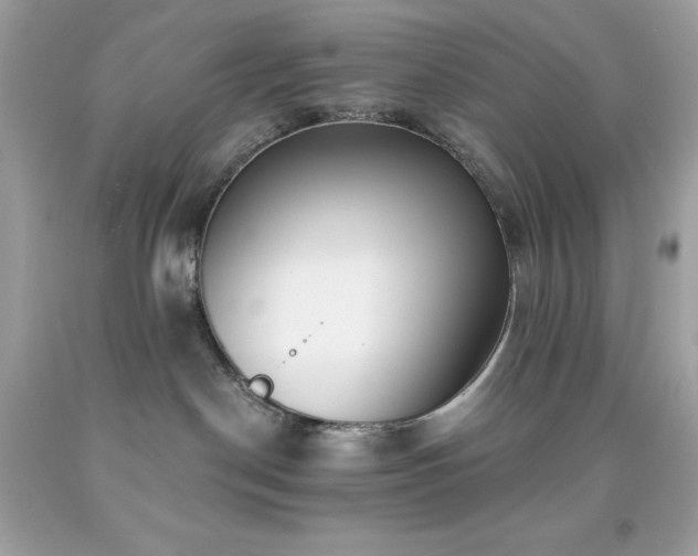 X0000091930190200709121606