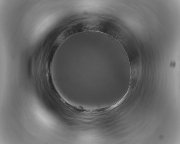 X0000091930191200709121606