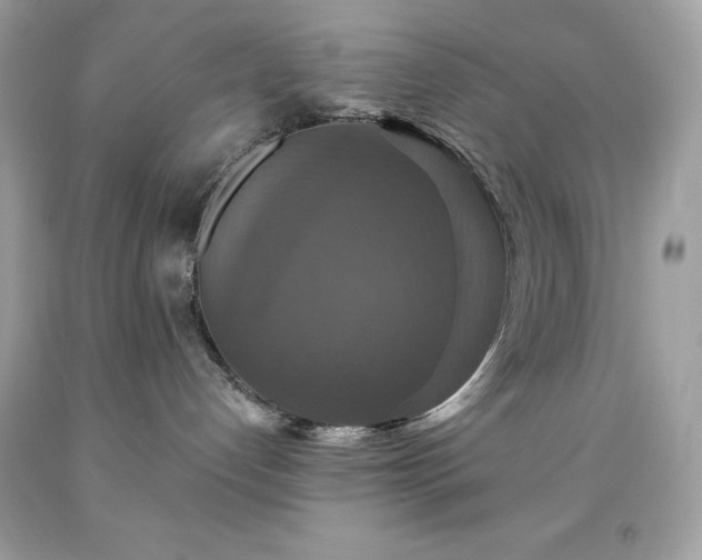 X0000091930192200709121606