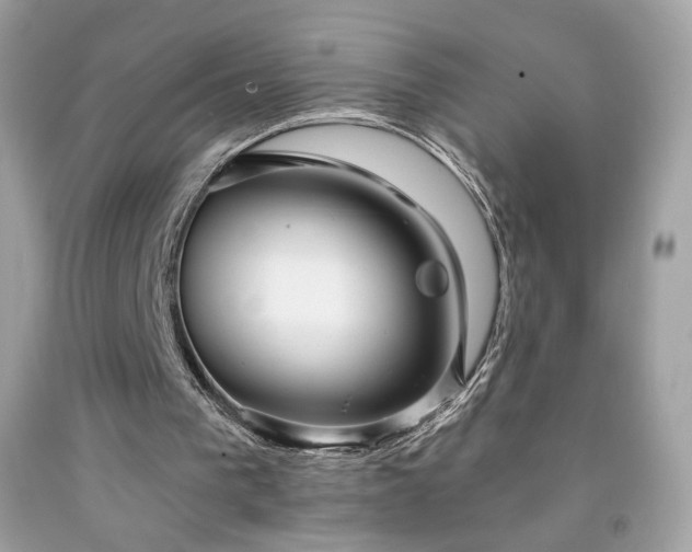 X0000091930193200709121605