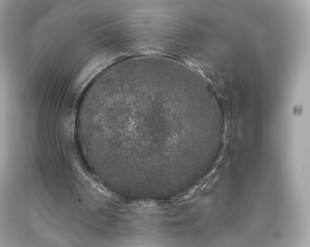 X0000091930194200709121605