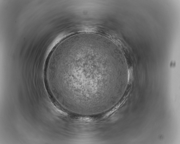 X0000091930195200709121605