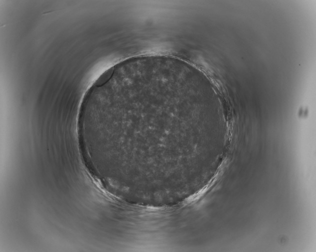 X0000091930196200709121605