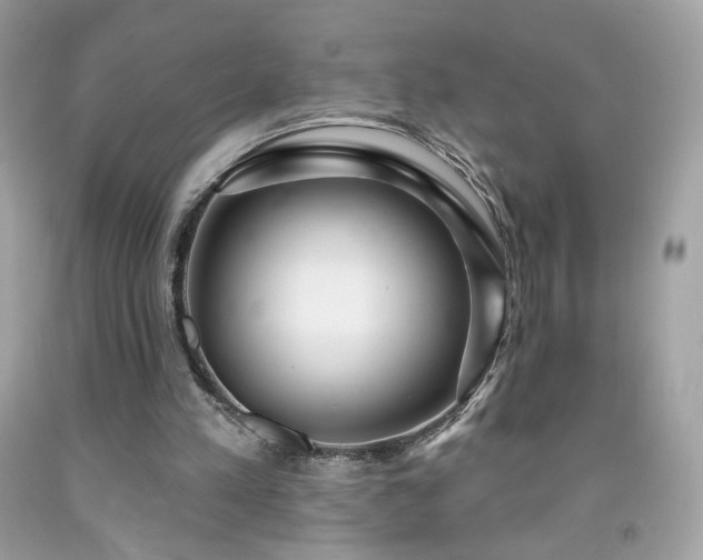 X0000091930197200709121605