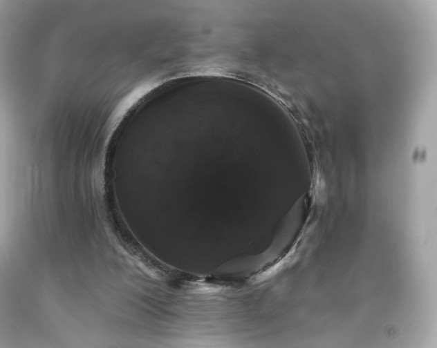 X0000091930200200709121605