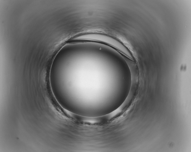X0000091930201200709121605