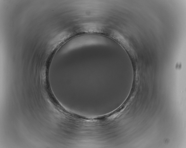 X0000091930202200709121605