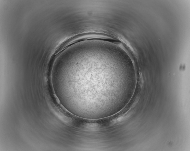 X0000091930203200709121605