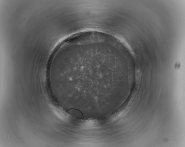X0000091930204200709121605